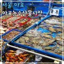 마도농산물재래시장 | 서울 재래시장 투어 마포 가볼만한곳 마포농수산물시장 꽃게 온누리 환급