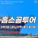 [몽골🇲🇳]7월 몽골여행 준비(2)_투어사 결정