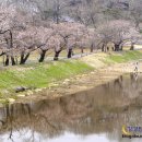 왕궁농장 이미지