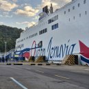 VIP펫 | 애견동반 제주도 여행 퀸제누비아2 펫스위트룸 비교후기