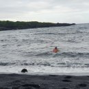 샌드비치 이미지