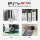 성실공조 이미지