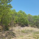 달성군하빈면무등보건진료소 이미지