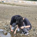 서산펜션 해뜨는비치 | 서산 &#39;팬션해뜨는비치&#39;🌊