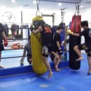 태백체육관 이미지