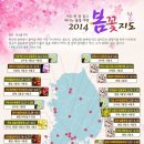 전국 봄꽃 축제 가이드 이미지
