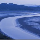 순천만풍경 이미지