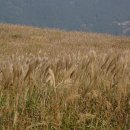 동아대학교 승학캠퍼스 이미지