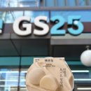 GS25 용봉현대점 | GS25 한정선 요거트 찹쌀떡 재고조회 가격 보관방법 한정선 매장 비교 후기