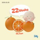 호산약국 | # 임신 중기 일기 (~24주차)🍀