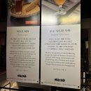 버드글램핑 이미지