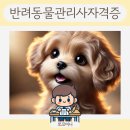 반려견,반려묘를 위한 반려동물관리사 이미지