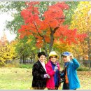 부평공원 이미지