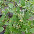 계산농장 이미지