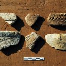 임실 가덕리 하가구석기유적 이미지