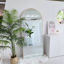 지아속눈썹