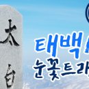 나무여행사 이미지