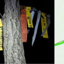 공주-53 이미지