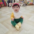 와이즈쿡
