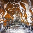 ㈜제주시엔투어 이미지