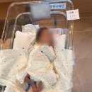 엠산후조리원 | 서산엠산후조리원 산후마사지 교육프로그램 등 후기