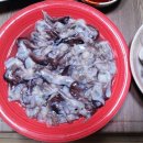 신항냉장(주) | 나혼자산다_김대호 편, 새조개의 모든 것: 겨울 바다의 보석을 만나다