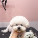 장미미장원 이미지