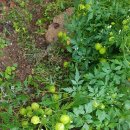 개금3동-14 이미지