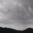 김삿갓휴게소 이미지