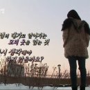 수정모피 Daum카페