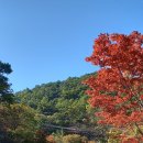 단양 보발재 단풍길&남한강갈대숲길 이미지