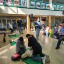 우도초중학교 일간제주