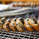 원조민물장어 이미지