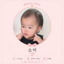 엘림세탁 | 19개월 아기 토들러 카시트 레카로 벨릭스 ㅣ 링크맘 의정부점 내돈내산 구매후기