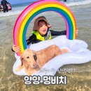 멍 | 주말 체크인 양양 멍비치 솔직 후기