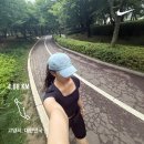 일릴리 | 언뇽허삽나까.