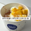 망고루 | 요거트월드 양쯔간루월드 신메뉴 후기! 망고 사고 양쯔간루 디저트 후기 및 어울릴 토핑 추천