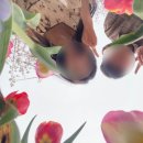 → 팽나무3거리 | 진해 1박 데이트코스 (2일차) ・・ 사실상 창원 데이트(총비용, 이동수단, 경로, 맛집 등 ‼️)