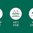 오일스팟 이미지