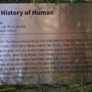 책읽는 픽토그램 네이버블로그