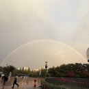 메이저카닥터 | 2025 서울뮤직페스티벌ㅣ1일차 후기 - 우천 페스티벌은 처음인데요?!