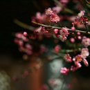 향기로부동산중개 이미지