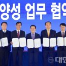 비전과학서비스 이미지