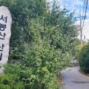 서봉산산림욕장 이미지