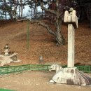 흥령선원지 이미지