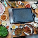 황소야돼지야 이미지