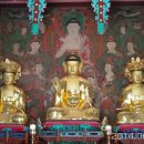 곡성-271 이미지