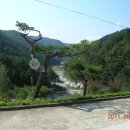 사미정민박 이미지