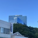 싱글멍글 | 호텔 탑스텐, 강릉에서 온천까지 한번에 할 수 있는 4성급 내돈내산 후기! : 정동진 숙소