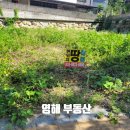 영해공인중개사사무소 이미지